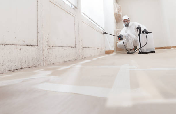 24/7 Emergency Black Mold Remediation experts in Jackson, GA